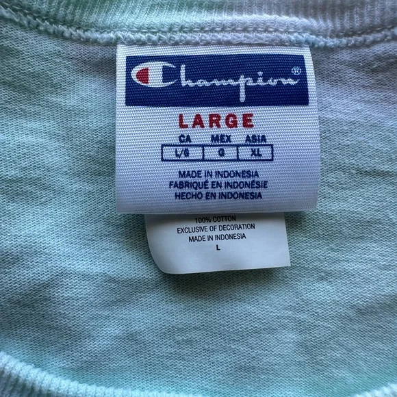 Champion Men's Short Sleeve Tie-Dye Tee - Blue and Green - Picture 5 of 6